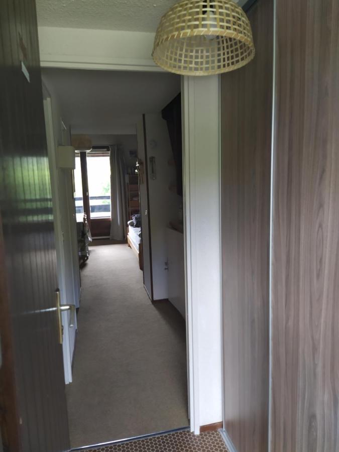 Duplex 3 Pieces. Pieds Des Pistes Et Balcon! Apartment Gresse-en-Vercors Exterior photo