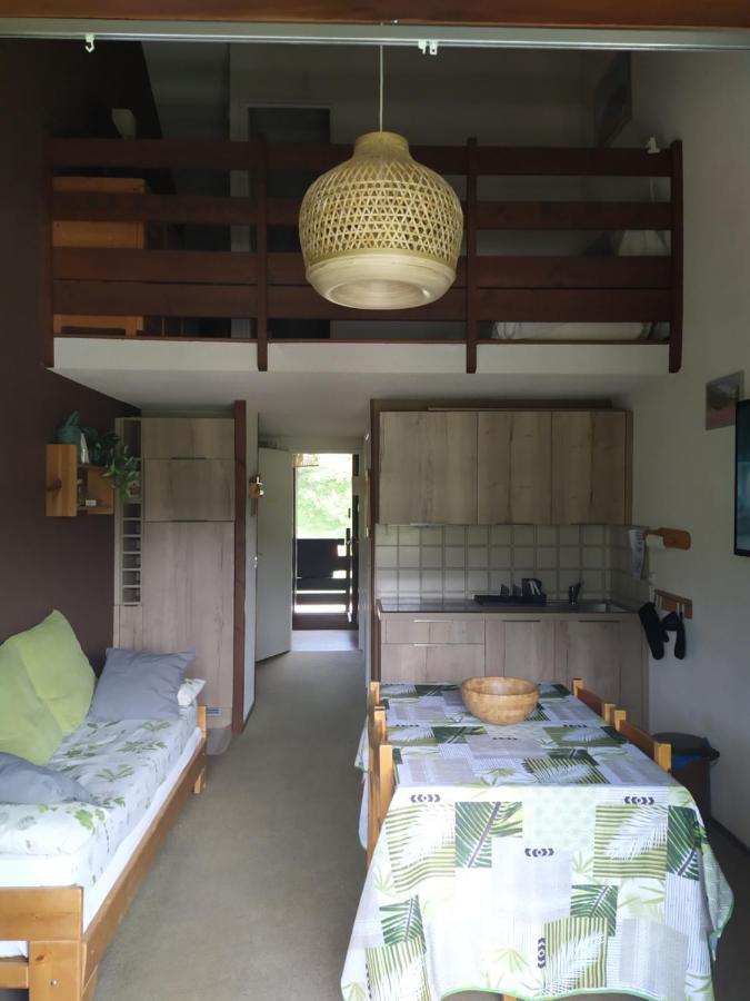 Duplex 3 Pieces. Pieds Des Pistes Et Balcon! Apartment Gresse-en-Vercors Exterior photo